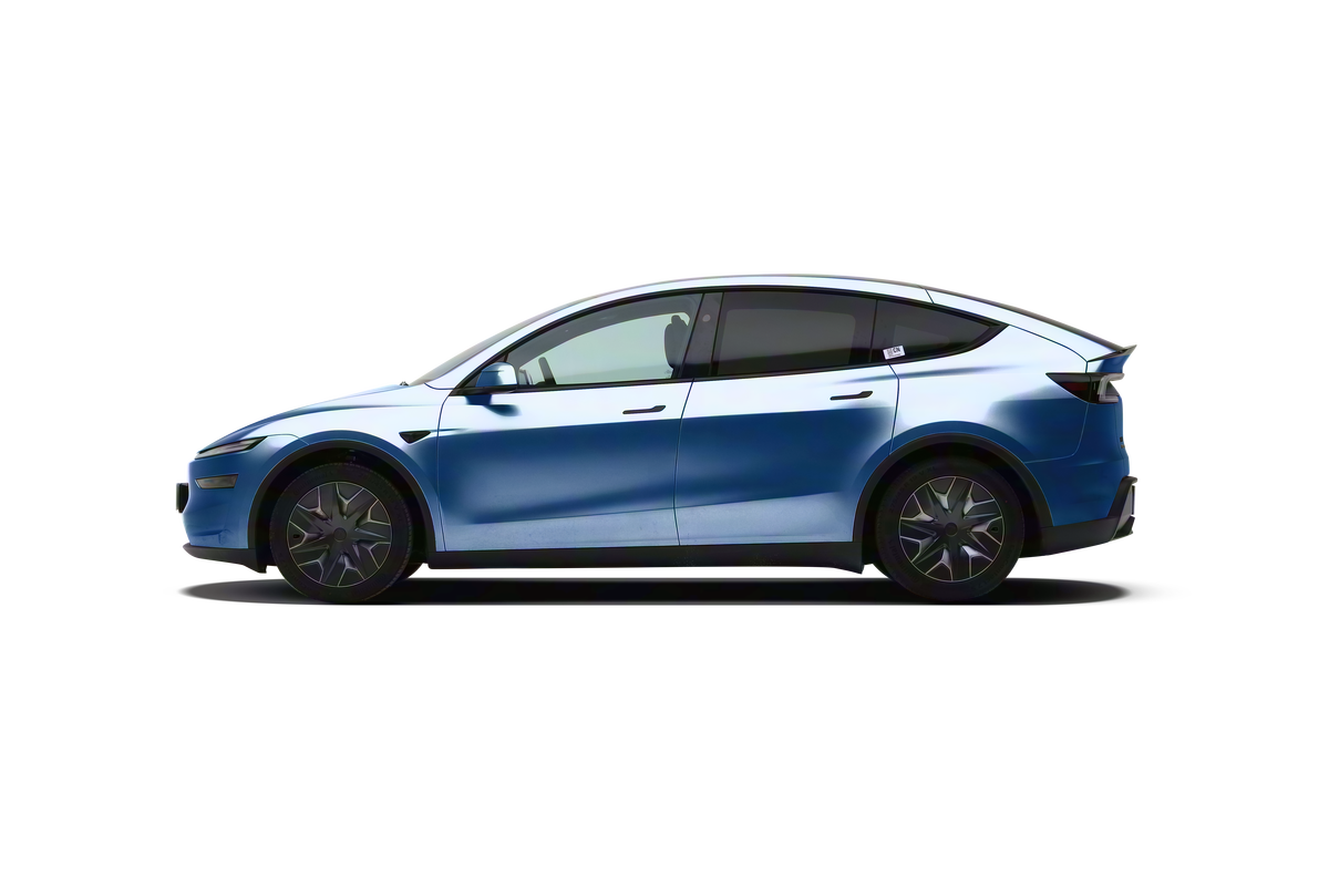 Model Y L