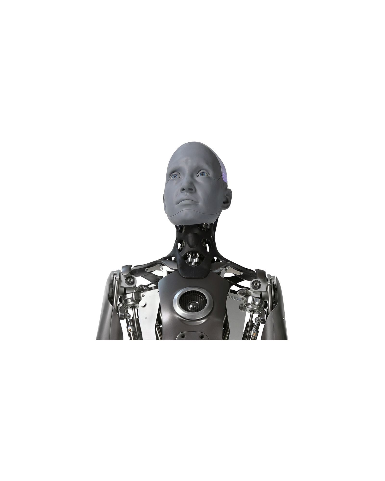 Ameca 开源资源交流