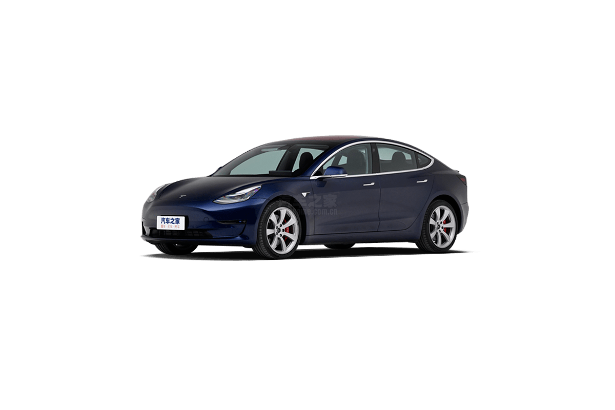 Model 3(进口)